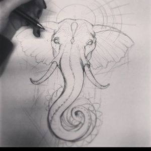 Meet your Posher, Quinton